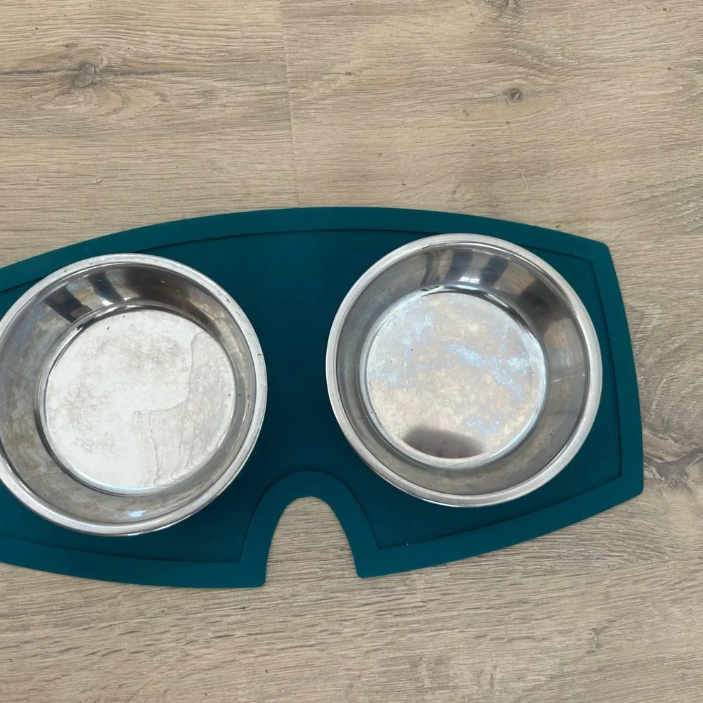 PETCO Every Yay Teal Silicone Double Puppy Stainless Steel Bowls